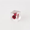 TORTOISE-yellow paper Sola Cube Sola Cube - Rose (Limited Edition) | Home Decor