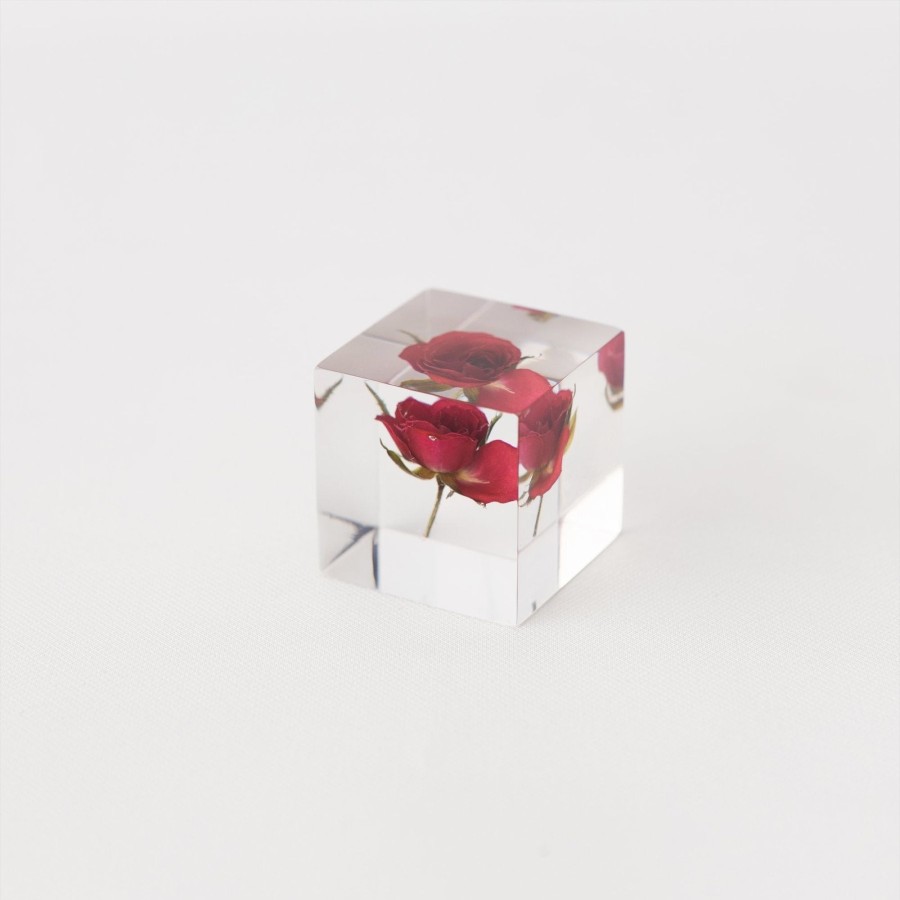 TORTOISE-yellow paper Sola Cube Sola Cube - Rose (Limited Edition) | Home Decor