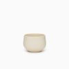 SAIKAI (Others) Chanoma Ivory Tea Cup [4-543] | Drinking