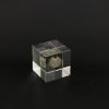 TORTOISE-yellow paper Sola Cube Sola Cube - Apple Of Peru | Home Decor