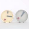 AC GEAR Lemnos Kehai Clocks (Available In 3 Colors) | Home Decor