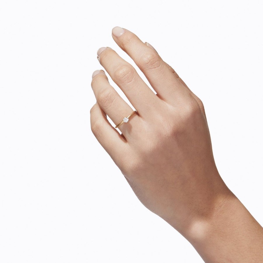 Tortoise-Shihara Shihara Classic Ring 02 | Jewelry